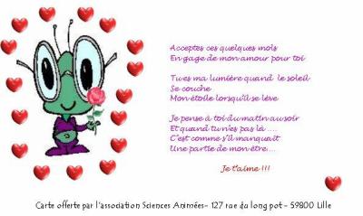 accepte